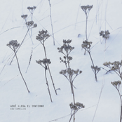 aquí llega el invierno