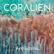 Anthozoa