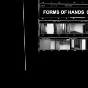 Forms of Hands 08