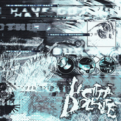 in a world full of nails I have got nothing but my hands