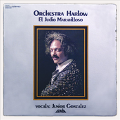 Agonia by Orchestra Harlow