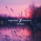 Shape of You X Mann Mera (Lofi Mashup) [Slowed and Reverb]