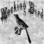 Mockingbird (5/05)