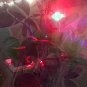 it kills me in the most beautiful way (live, 10/26/2019)