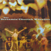 Shakin' The Blues by The Screamin' Cheetah Wheelies