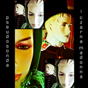 Pseudosonda i Czarna Madonna