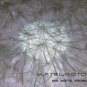 [PS002] Base Sagittal Coronal