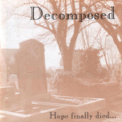 Instrumental by Decomposed