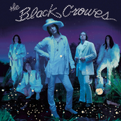 Welcome To The Goodtimes by The Black Crowes