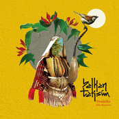 Anadolka: The Remixes