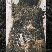 Pissing Into the Gaping Necrotic Rectum of Mankind