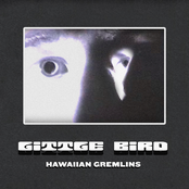 Little Bird - Single