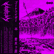 Aokigahara