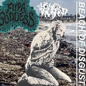 Beach Of Disgust