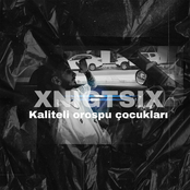 Kaliteli Orospu Çocukları
