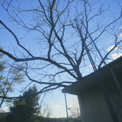 i just wanted u to care