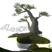 Blossom (feat. mental & Colton) - Single