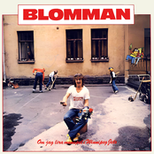 Om jag lira munspel i Winnipeg jets