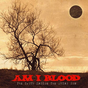 Gone With You by Am I Blood