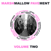 Marshmallow Pavement, Vol. 2