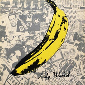 A Tribute To Andy Warhol