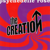 The Creation: Psychedelic Rose