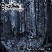 Night Of The Black Wolf