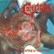 Regurgitando Leite Materno na Face Paterna