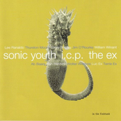 ex, sonic youth, icp