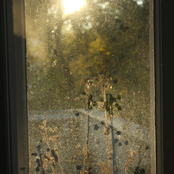 WHAT DO YOU DREAM ABOUT? (Holly North Remix)