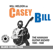 Hawaiian Guitar Wizard