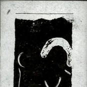 Cruelty's Necessary Decision