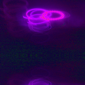 Flowers Of Resistance