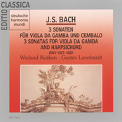 Bach: Viola Da Gamba Sonaten