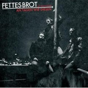 fettes brot feat. finkenauer