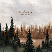 Wonders of Nature: Woodlands