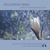 Relaxing Rain: Perfect for Meditation & Sleep