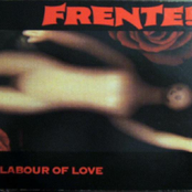 Bizarre Love Triangle by Frente!