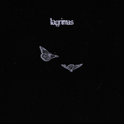 Lagrimas: its hard for me to accept this