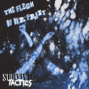 THE FLESH OF OUR FRUIT