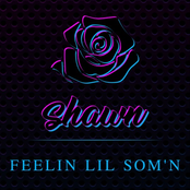 Shawn Stockman: Feelin Lil Som'n - Single