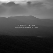 Beneath The Crown Of Cranes by Downfall Of Gaia