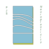 Neuroplasticity