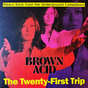 Brown Acid - The Twenty First Trip