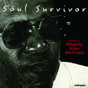 When The Hurt Is Over by Mighty Sam Mcclain