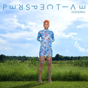 Dondria: Perspective