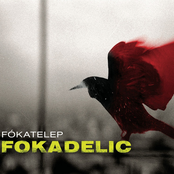 Fokadelic