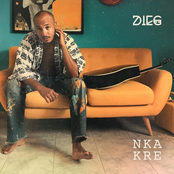 Dieg: Nka Kre