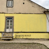 Diamond Wings - Single