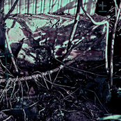 Climbing and Falling